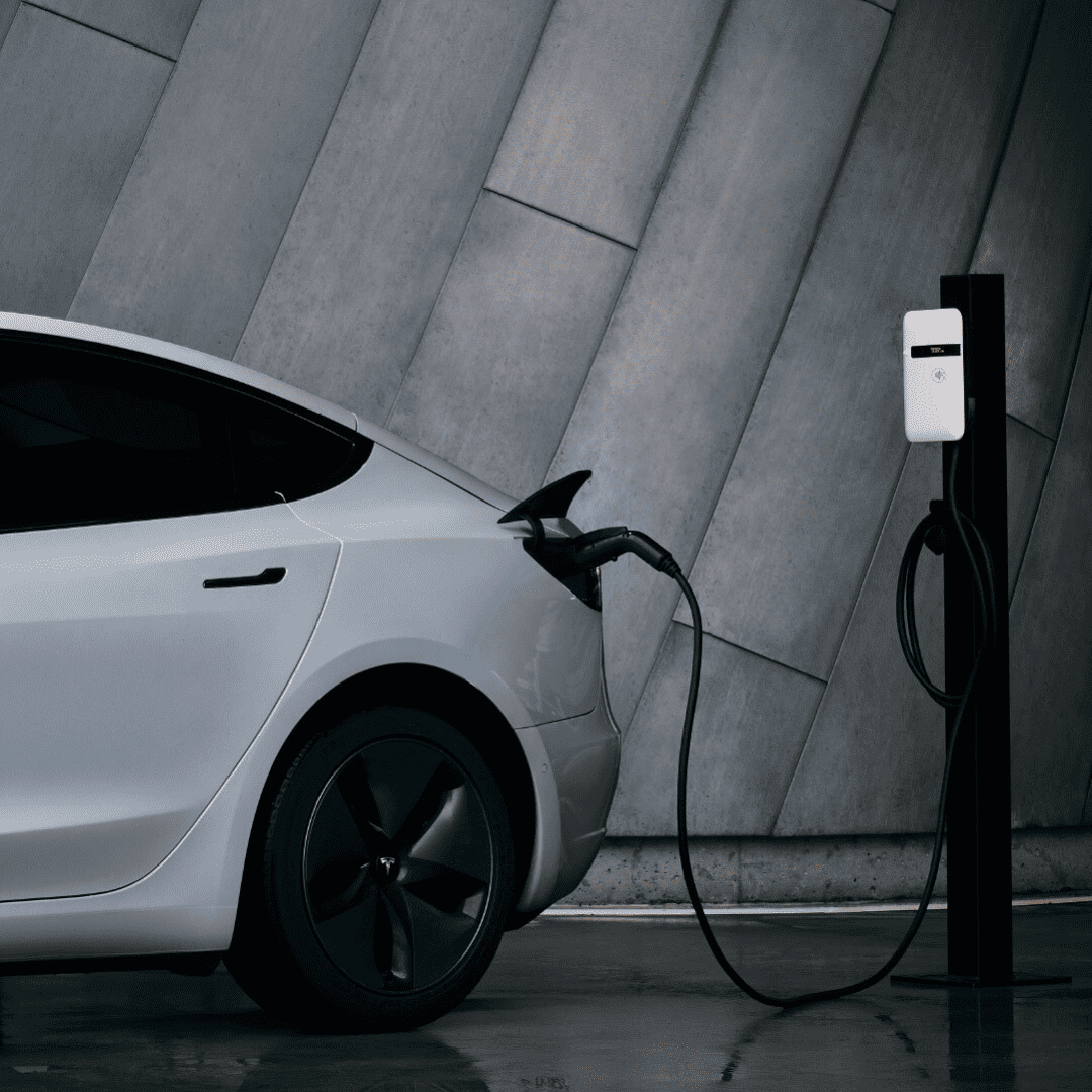 Untitled design (43)